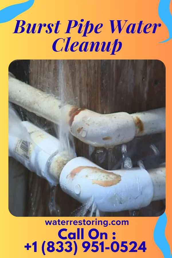 Burst Pipe Water Cleanup in Grand Blanc, MI