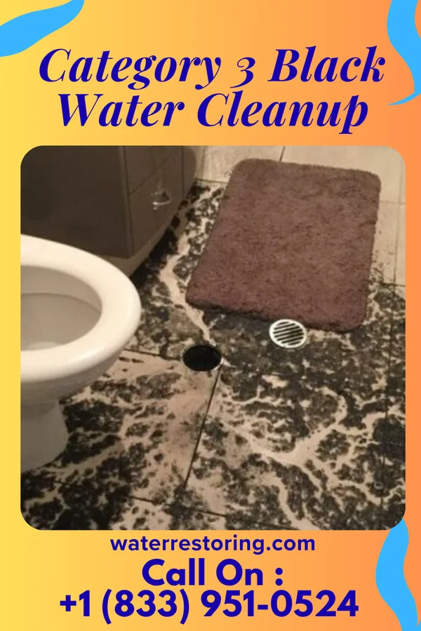 Category 3 Black Water Cleanup in Grand Blanc, MI