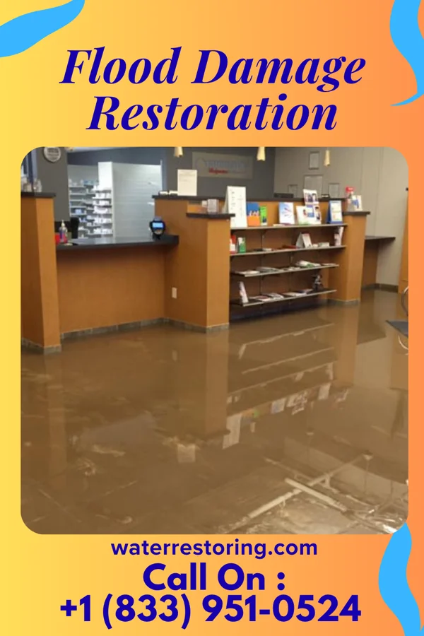 Flood Damage Restoration in Grand Blanc, MI