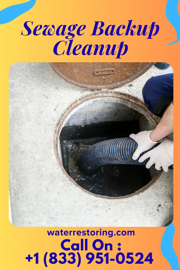 Sewage Backup Cleanup in Grand Blanc, MI