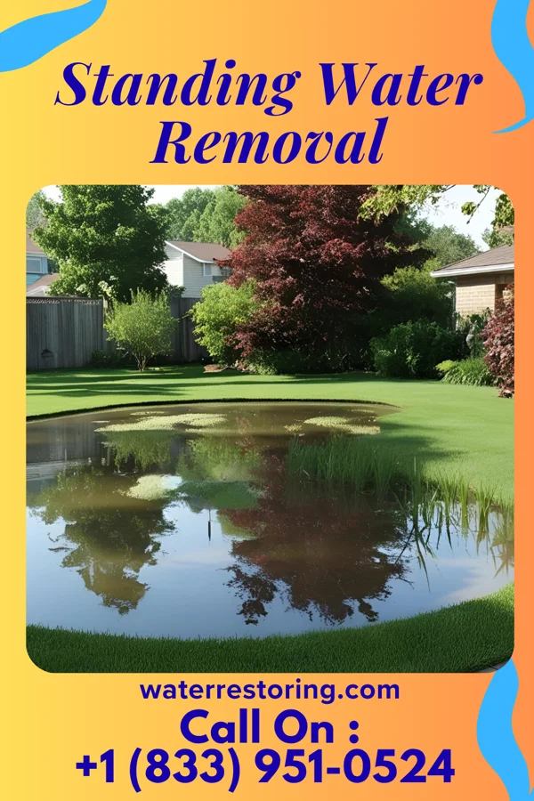 Standing Water Removal in Grand Blanc, MI